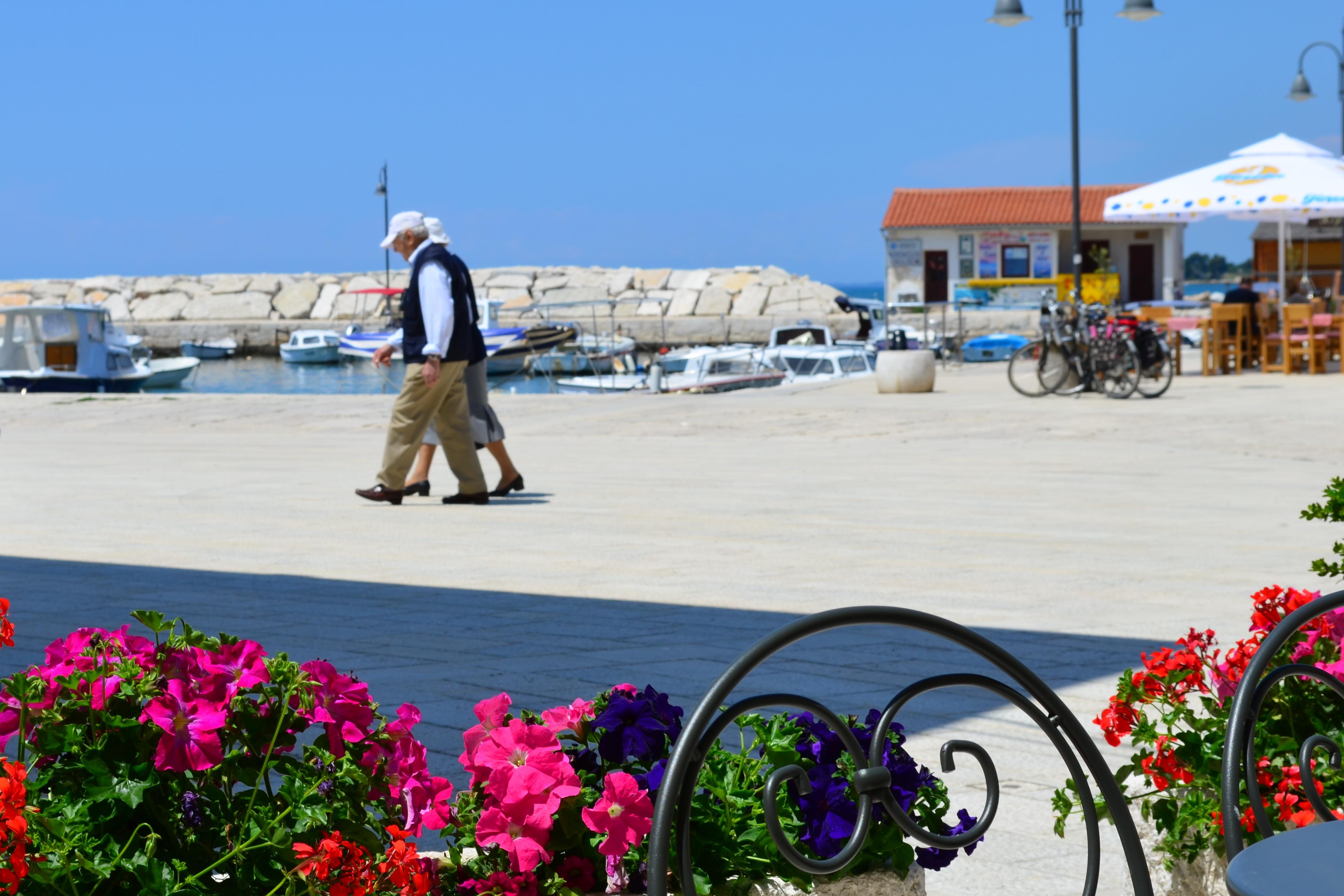 Villetta Phasiana Fažana Εξωτερικό φωτογραφία
